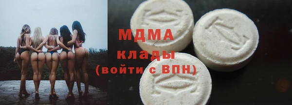 индика Беломорск