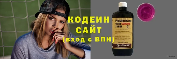 индика Беломорск