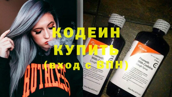 индика Беломорск