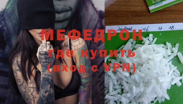 индика Беломорск