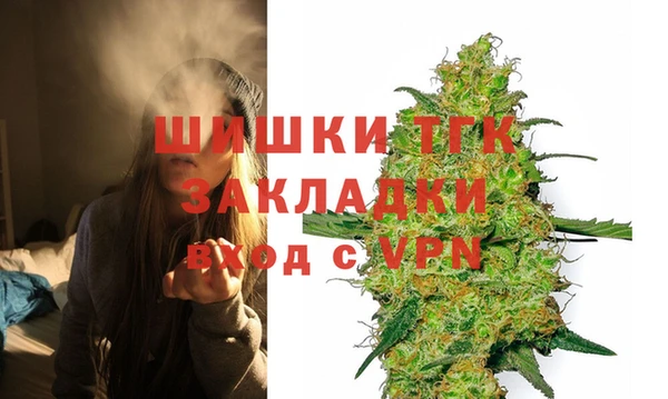 индика Беломорск