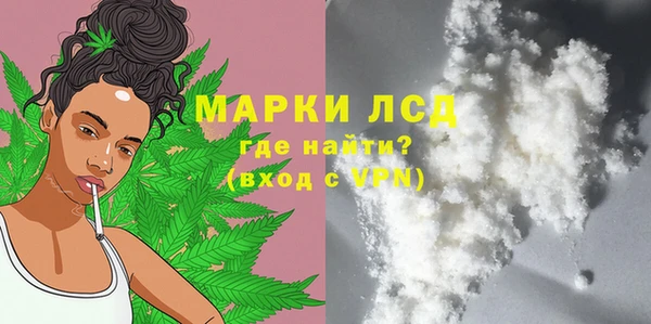 индика Беломорск