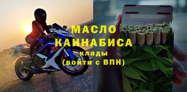 индика Беломорск